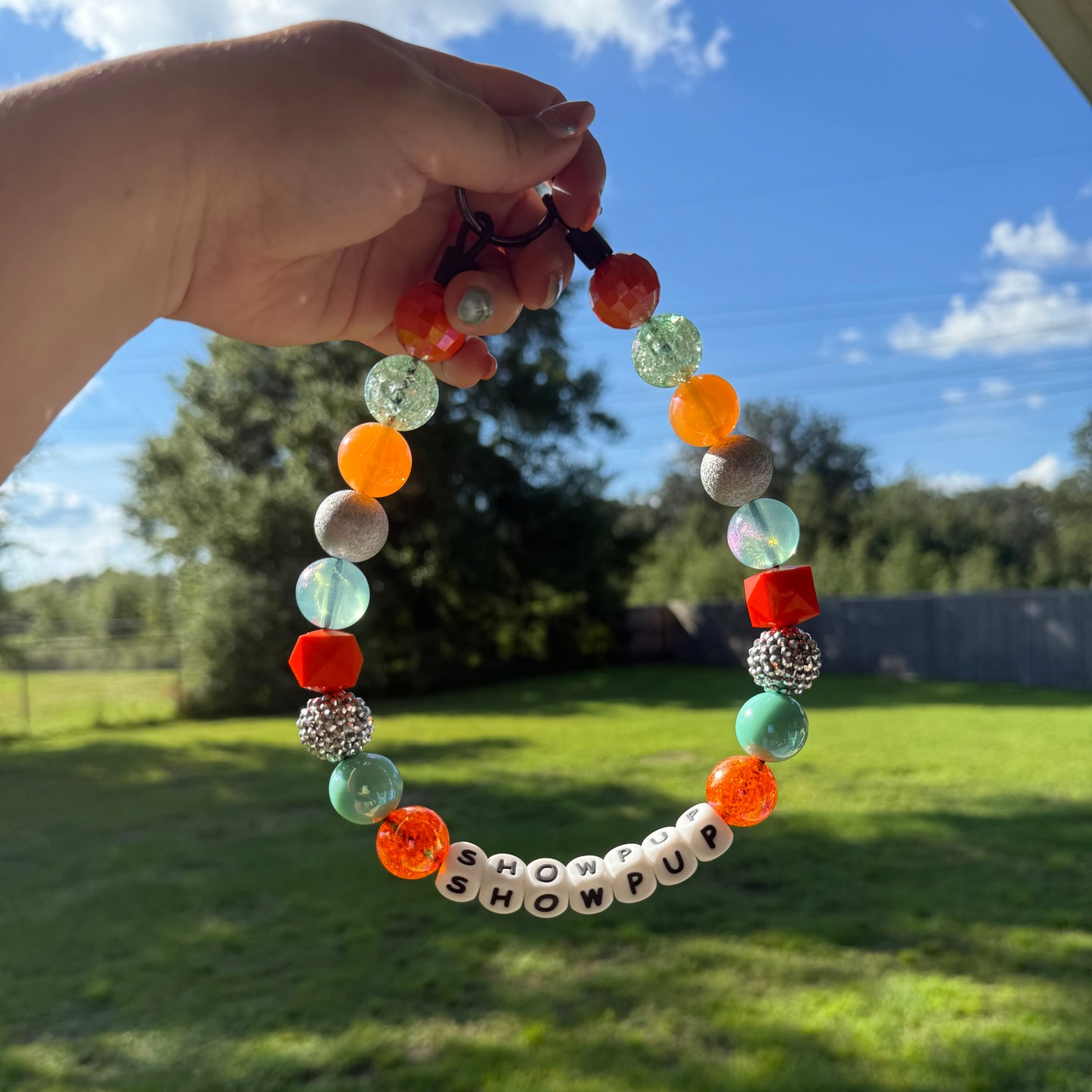 The Life of A Showpup Collar