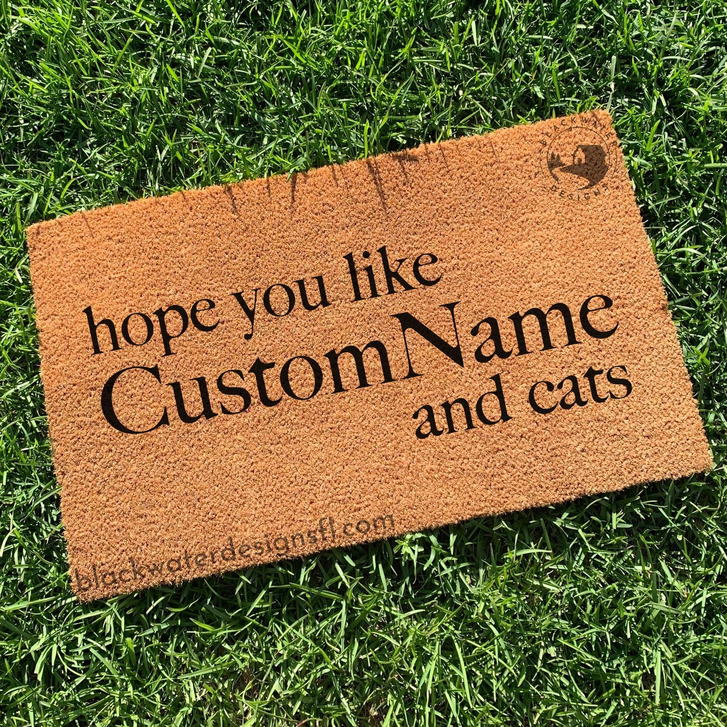 Hope You Like And Cats (TTPD Inspired) Doormat