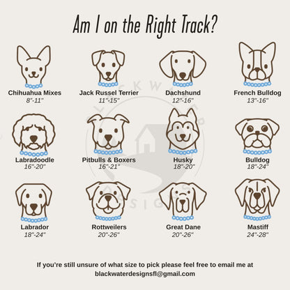 The Life of A Showpup Collar