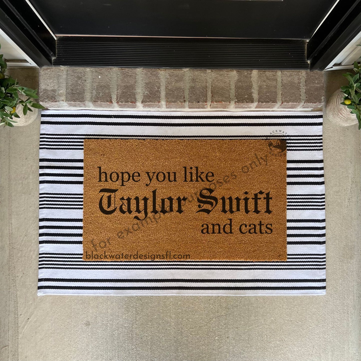 Hope You Like Cats (Reputation Inspired) Doormat