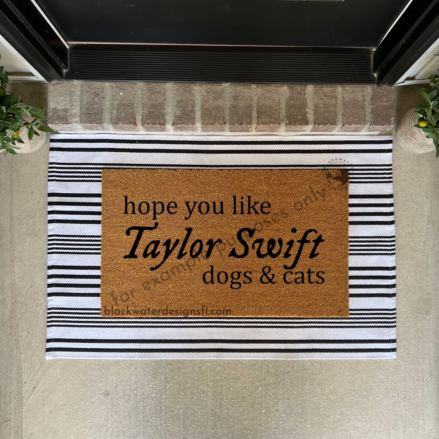 Hope You Like Dogs & Cats (Folklore Inspired) Doormat